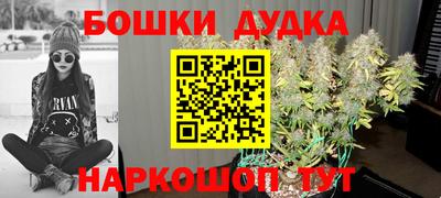 PSILOCYBIN Краснодар