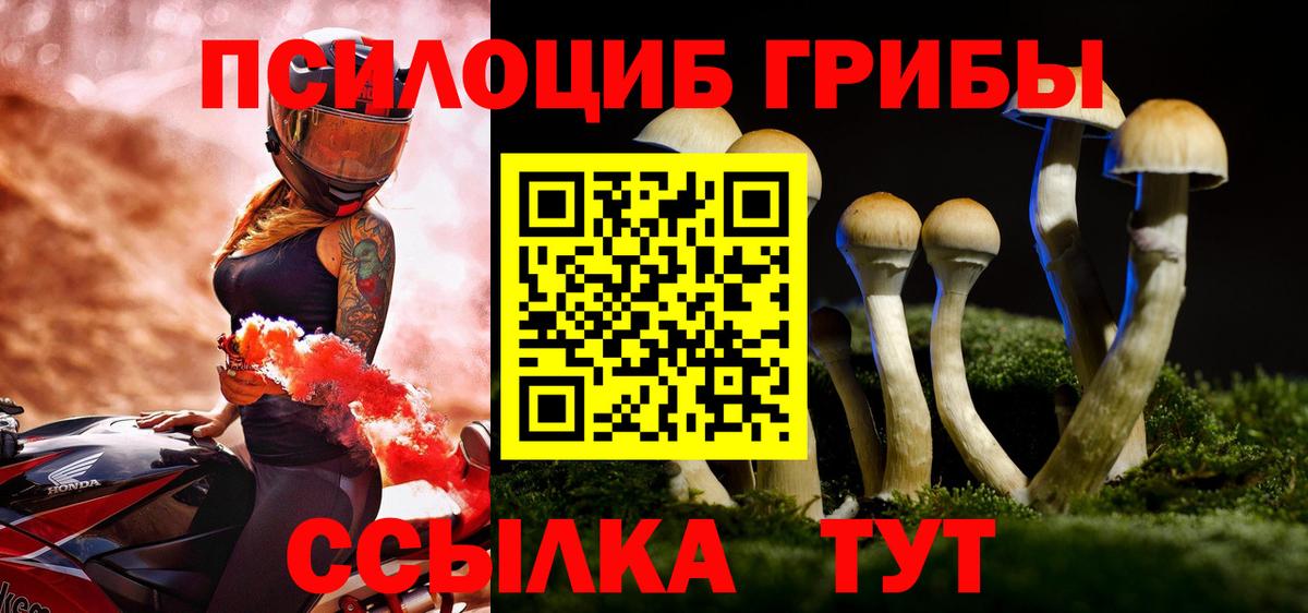 Псилоцибиновые грибы GOLDEN TEACHER Котельники