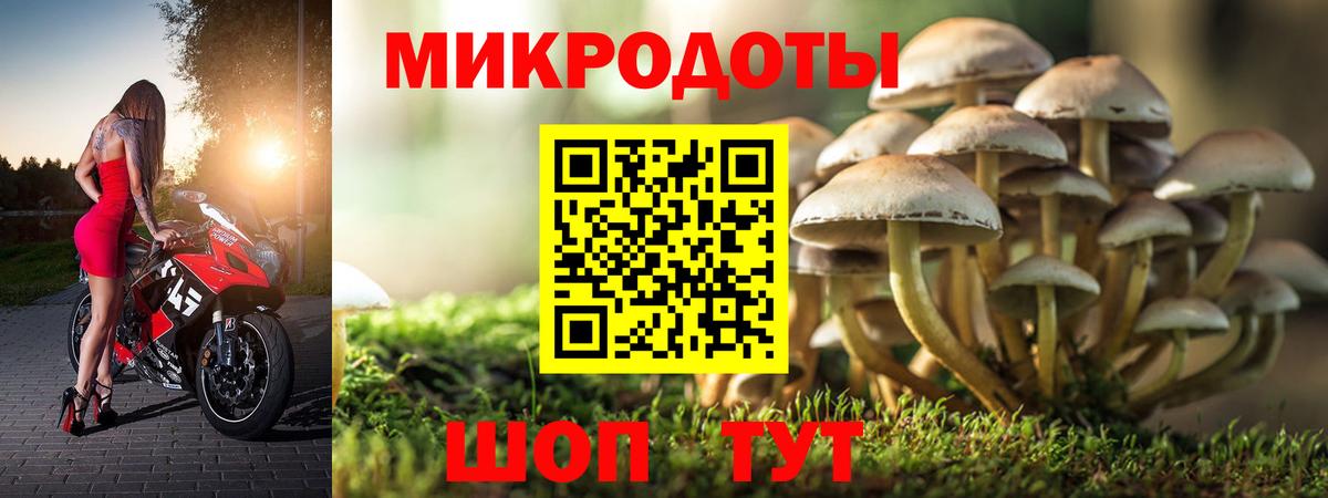 Псилоцибиновые грибы мицелий  Галлюциногенные грибы Psilocybine cubensis  как найти   Котельники  Вход с VPN 