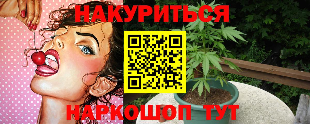 Бошки Шишки семена Котельники